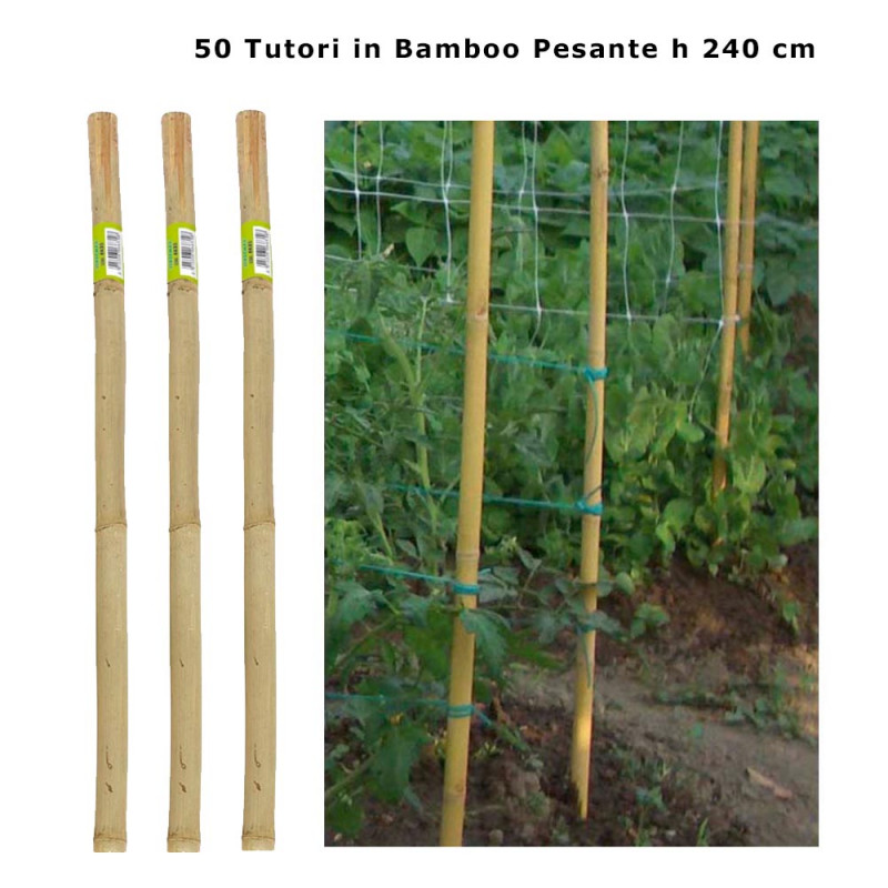 10-14MM 7FT Bambù Giardino Canne di forte spessore SCHERMA piante Heavy Duty supporto 