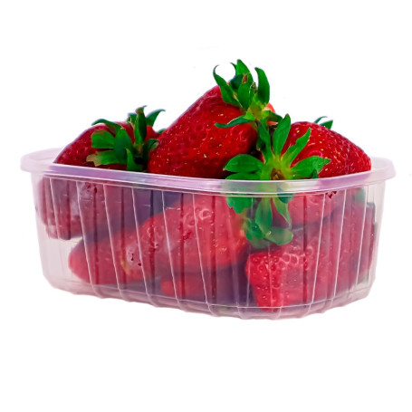 Vaschette in Plastica in PET mm 142x95x50 Contenitore 250 Grammi Pezzi 2280