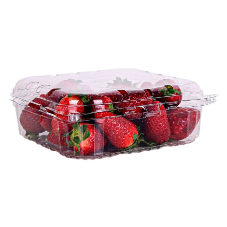 Vaschetta con coperchio per ortofrutta 480 pezzi